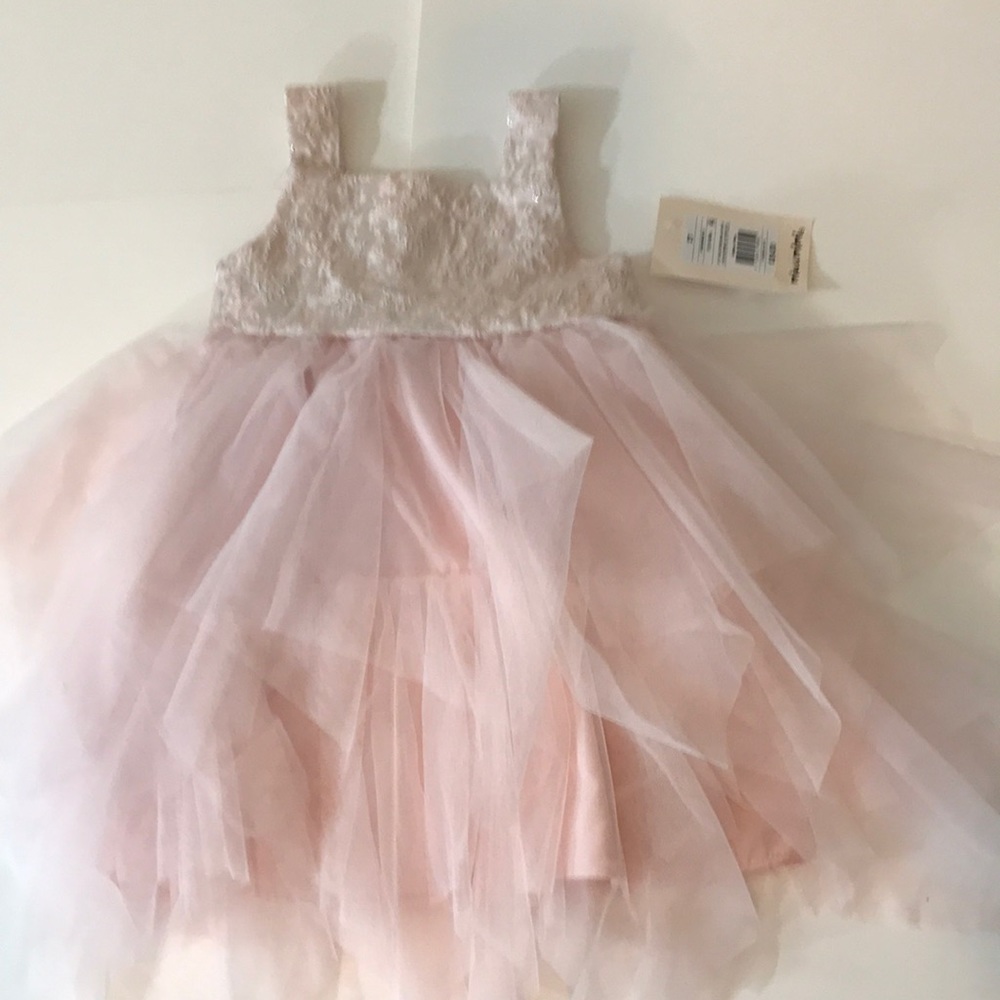 Beautiful girls light pink dress! NWT